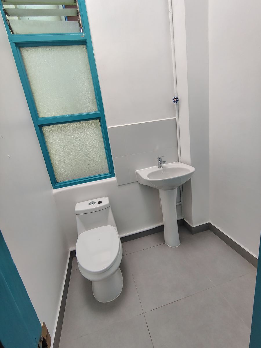 Baño terminado con WC, lavamanos y la ventana pintada